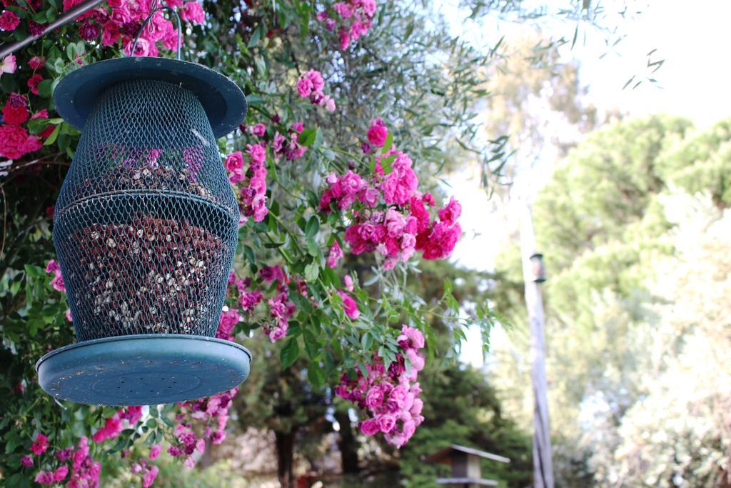 Farm stay Tapada Da Rabela - Reserva Natural Marvao (Portalegre)