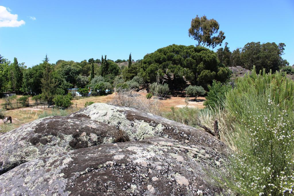 Farm stay Tapada Da Rabela - Reserva Natural Marvao (Portalegre)